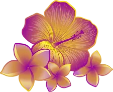 kai_flower1-multi-500 kai_flower1-multi-500